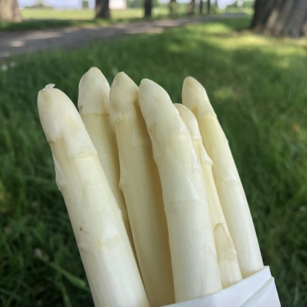 Weiße Spargelköpfe