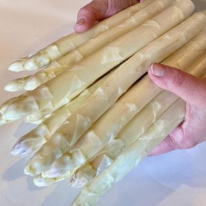 Hände halten weißen geschälten Spargel