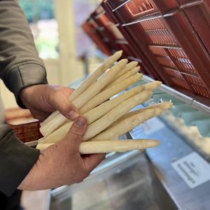 Mann sortiert weißen Spargel